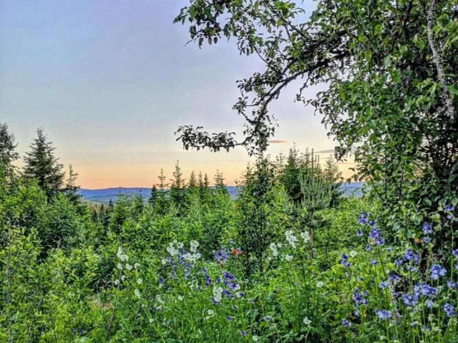 Forest Cabin With Stunning Mountain View & Sauna Torsby Exterior foto
