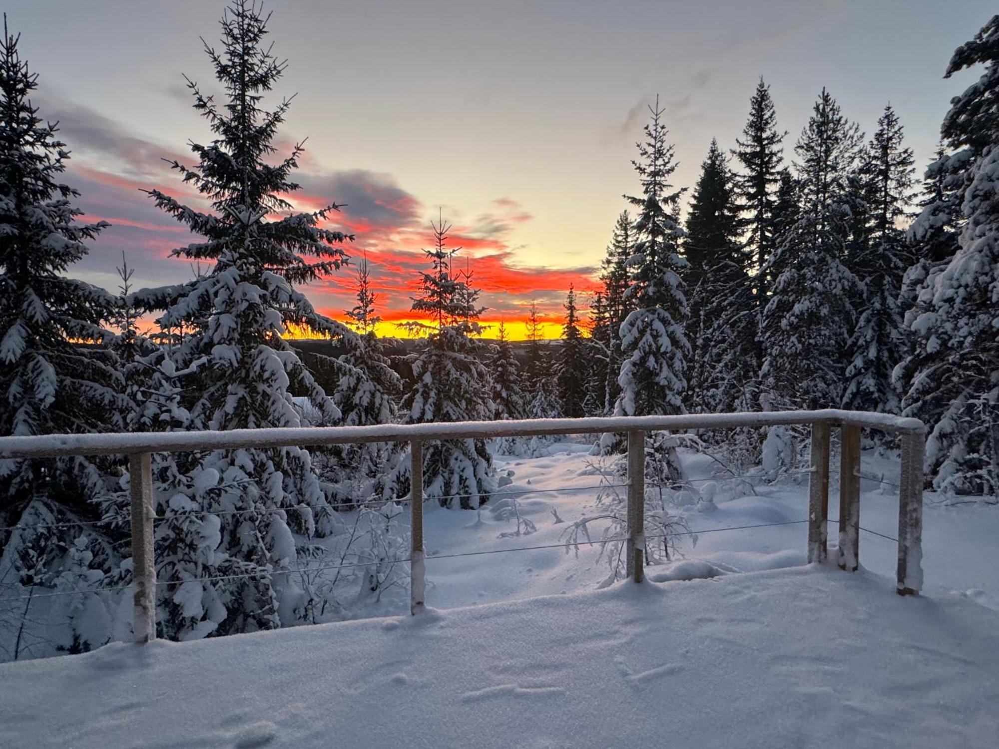 Forest Cabin With Stunning Mountain View & Sauna Torsby Exterior foto